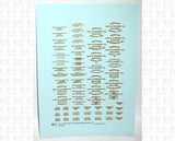 1900 Era ACF Car Builder Insignias