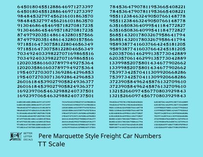 Pere Marquette Style Numbers  White 9 and 4 Inch Renumber