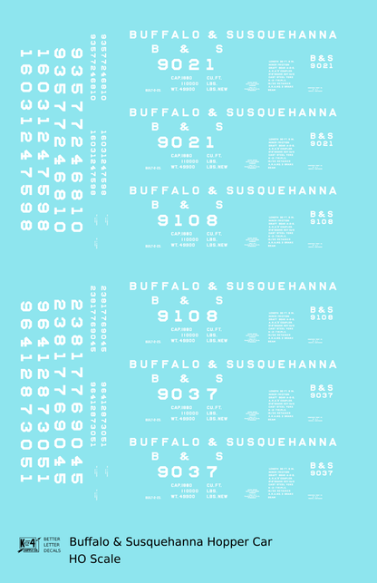 Buffalo and Susquehanna Twin Hopper White