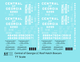 Central Of Georgia Roof Hatch Boxcar White Block Letter - Decal - Choose Scale