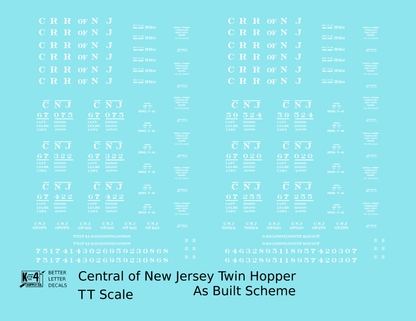 Central Of New Jersey Twin Hopper White Roman Font