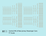 Central Of New Jersey Passenger Car Bronze Gold As Built Lettering - Decal - Choose Scale