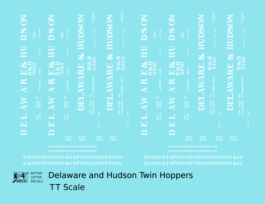 Delaware and Hudson Twin Hopper White