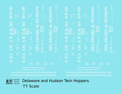 Delaware and Hudson Twin Hopper White