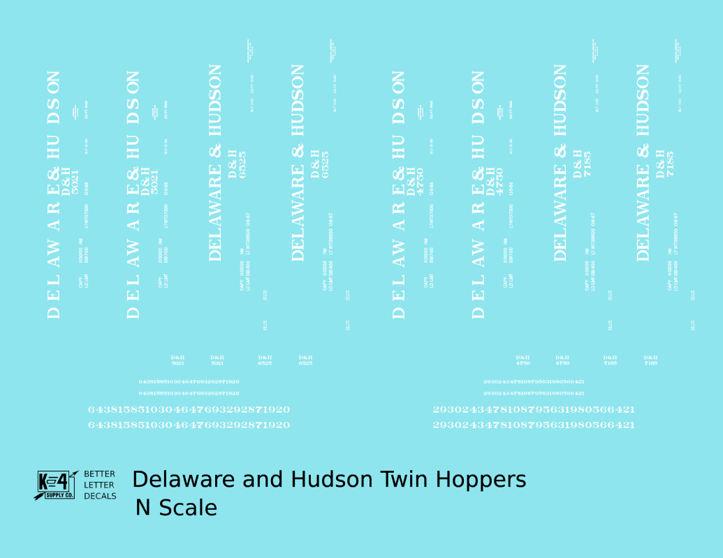 Delaware and Hudson Twin Hopper White