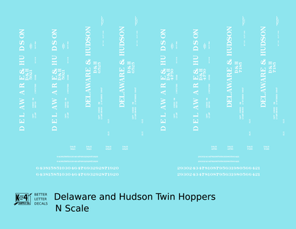 Delaware and Hudson Twin Hopper White