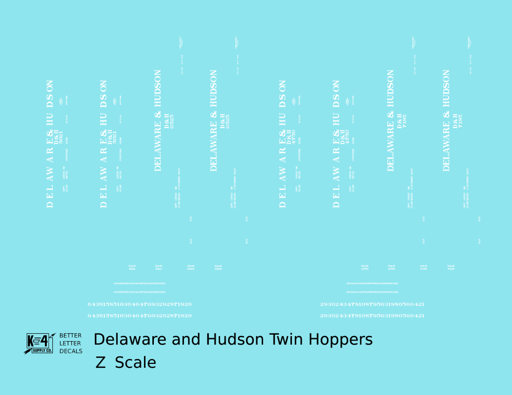 Delaware and Hudson Twin Hopper White