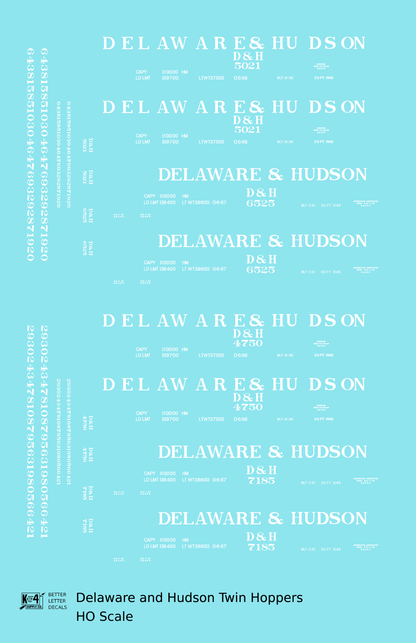 Delaware and Hudson Twin Hopper White