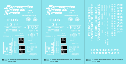 FC Unidos Del Sureste 50 Ft Boxcar White