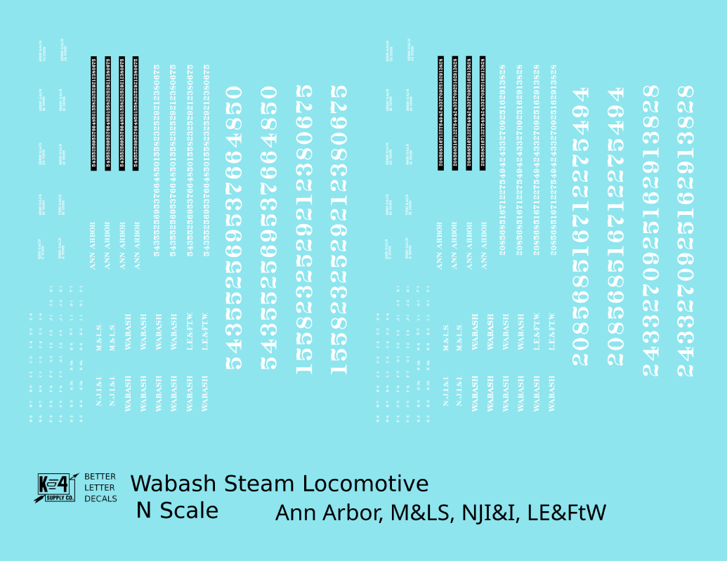 Wabash, Ann Arbor, NJI&I, M&LS, LE&FtW Steam Locomotive White