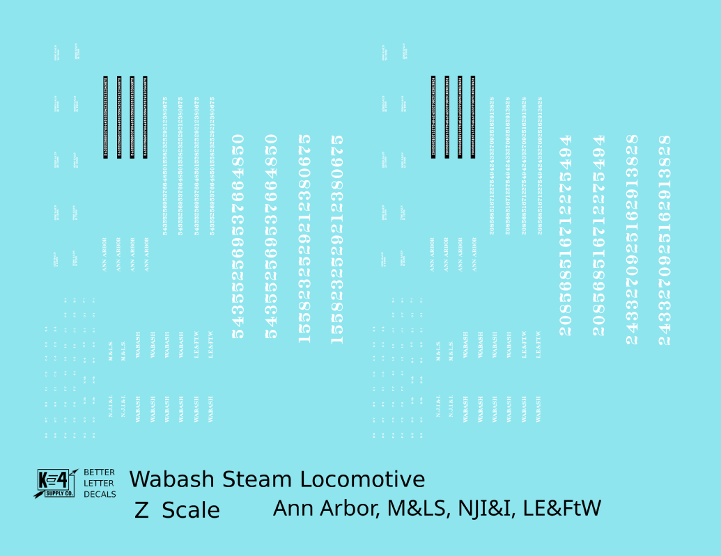Wabash, Ann Arbor, NJI&I, M&LS, LE&FtW Steam Locomotive White