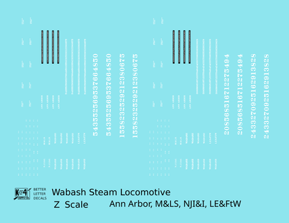 Wabash, Ann Arbor, NJI&I, M&LS, LE&FtW Steam Locomotive White