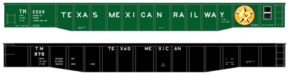 Texas Mexican Railway 52 Ft Gondola White  - Decal