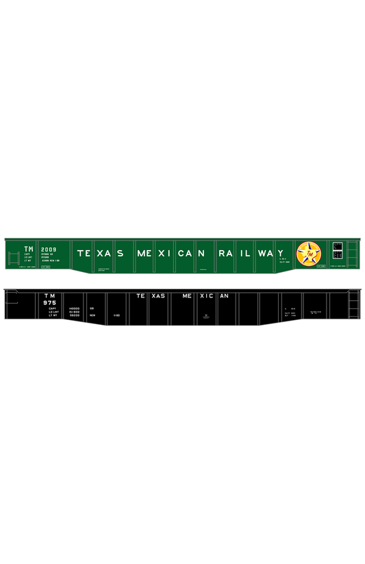 Texas Mexican Railway 52 Ft Gondola White