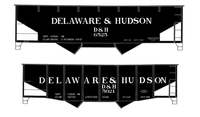 Delaware and Hudson Twin Hopper White