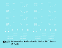 Nacionales De Mexico 50 Ft Boxcar White NDEM