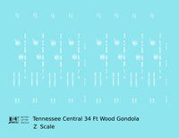 Tennessee Central 34 Ft Wood Gondola White